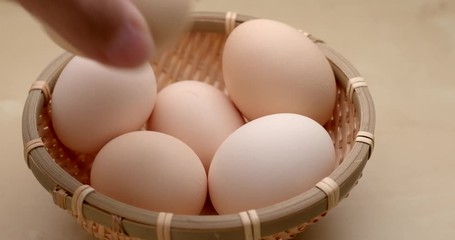 Canvas Print - Putting chicken egg into basket