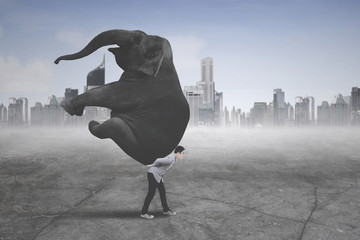 Wall Mural - Young businessman carrying an elephant