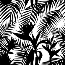 Black White Seamless Tropical Jungle