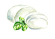 Mozzarella cheese. Watercolor hand drawn illustration, isolated on white background