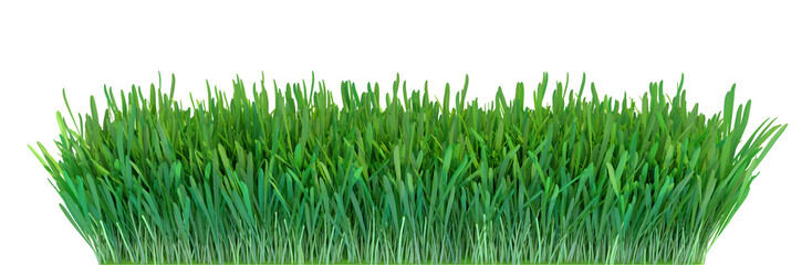 Sticker - Green grass. Natural grass texture pattern background. Meadow. Spring, summer season. Plant growth 3d rendering