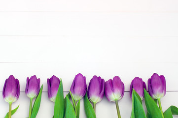 Wall Mural - Lilac tulips on a white wooden background (space for text)