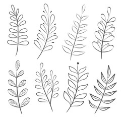  hand drawn set of tree branches, collection of floral elements, stock vector illustration
