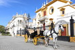 horse and coach at the Seville Spain