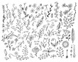 © katarinalas - Set of hand drawn vector floral elements