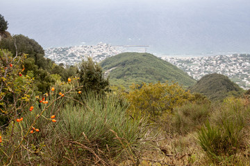 Italy, island of ischia monte epomeo