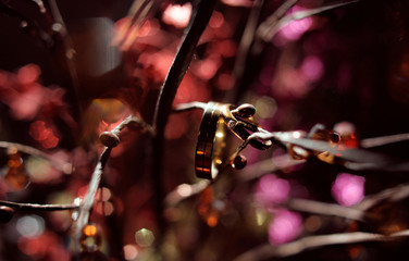 Wedding rings, jewelry and symbols attributes taken with selective focus on red flowers and branches. Holiday, celebration. Macro. Blur. Bridal bouquet on background