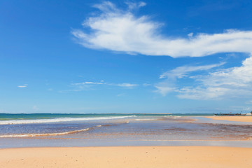 beach with palms