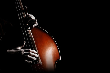 Double bass. Hands playing contrabass player