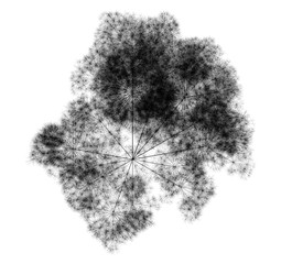 Wall Mural - flat computer generated self-similar l-system branching inflorescence or bengal light fractal - gene
