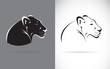 Vector of black panther on white background and gray background. Wild Animals. Easy editable layered vector illustration.