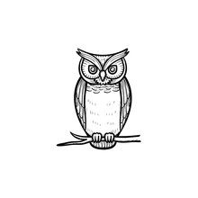 Wisdom Owl Hand Drawn Outline Doodle Icon. Owl Bird Symbolizing Wisdom Vector Sketch Illustration For Print, Web, Mobile And Infographics Isolated On White Background.