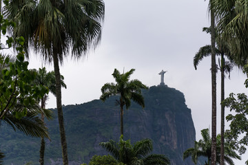 Christ the Redeemer, statue, inserted in a frame of rtees.