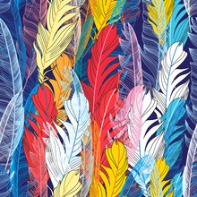 Graphic Pattern Multicolored Feathers