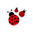 Ladybug icon vector