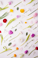 Wall Mural - Easter and spring flat lay on a white background.