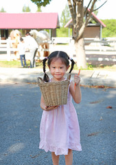 Wall Mural - Adorable little asian girl holding a basket with sliced carrots outdoors in the farms. Vegetable for feeding horse.