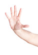© okolaa - Hand in open palm gesture, on white background.