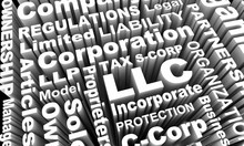 LLC LLP S- C-Corp Business Types Models Words 3d Illustration