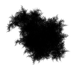 Wall Mural - flat computer generated self-similar l-system shaggy nugget fractal - generative art