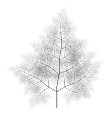 Wall Mural - flat computer generated self-similar l-system branching tree fractal - generative art