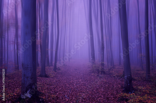 fantasy-forest-abstract-background-ultra-violet-concept-color-of-the-year-2018