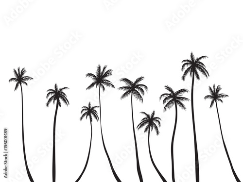 Papel de parede Palm trees black and white illustration