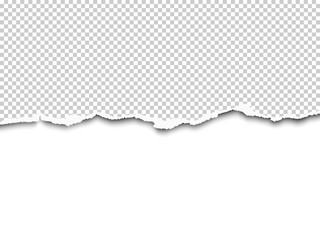 Wall Mural - Vector torn a half sheet of transparent paper from the bottom with white remaining paper part. Template design.