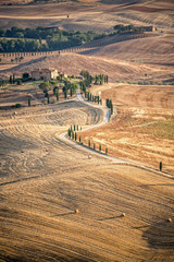Wall Mural - beatiful typical countryside summer landscape in tuscany, italy