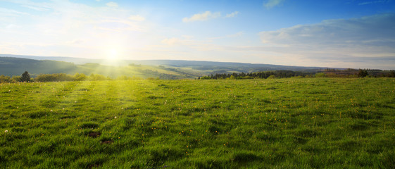 Wall Mural - Beautiful sunset over the green spring field.