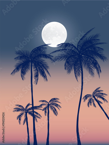 Fotografía Summer california tumblr backgrounds set with palms, sky and sunset