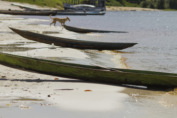 Boats - 'São Gabriel da Cachoeira' city, Amazon / Brazil