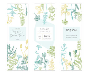 Vector floral templates.