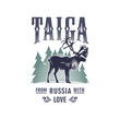 Тайга, Северный Олень на фоне елей, Россия, любовь, иллюстрация, вектор