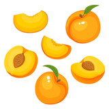 Fototapeta Pokój dzieciecy - Bright vector set of colorful juicy peach isolated on white.