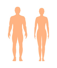 Wall Mural - male and female silhouette on white background, vector.