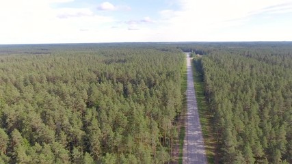 Wall Mural - Aerial view of road across the forest