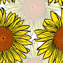 Sunflower Flower Yellow Blossom Free Stock Photo - Public Domain Pictures