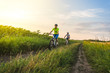 © sergo321 - a woman and a man cycling in summer in the park on bicycles