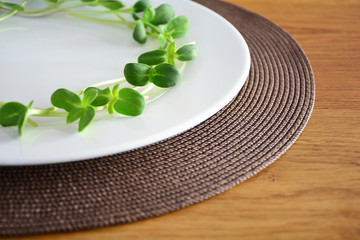 green fresh sunflower sprouts - concept for healthy nutrition, closeup