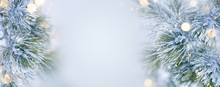 Christmas Decoration Banner. Snowy Pine Branch Under Snow With Christmas Lights