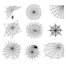 Spiders Vector Web Silhouette Spooky Spider Nature Halloween Element Cobweb Decoration Fear Spooky Net.