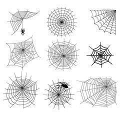 spiders vector web silhouette spooky spider nature halloween element cobweb decoration fear spooky n