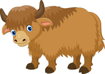 Wall Mural - Cute yak cartoon