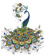 Fantasy peacock drawing on white background