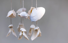 Seashells Hanging On White Background. Seashell Mobile Is Handicrafts Produced By Handmade.