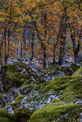 Poster - Serra da Estrela, Portugal	