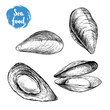 Hand drawn sketch style mussels set. Closed and opened. Sea food and sea animal vector illustration isolated on white background.