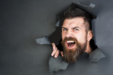 Wall Mural - Angry bearded man making hole in paper. View of male face through hole in black paper. Bearded man looking through hole. Breaking paper.