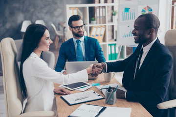 Wall Mural - Partners making deal, shaking their hands, sitting in work place, wearing elegant, classic suits, to sign a contract, three professional, confident, stylish, attractive partners find a compromise